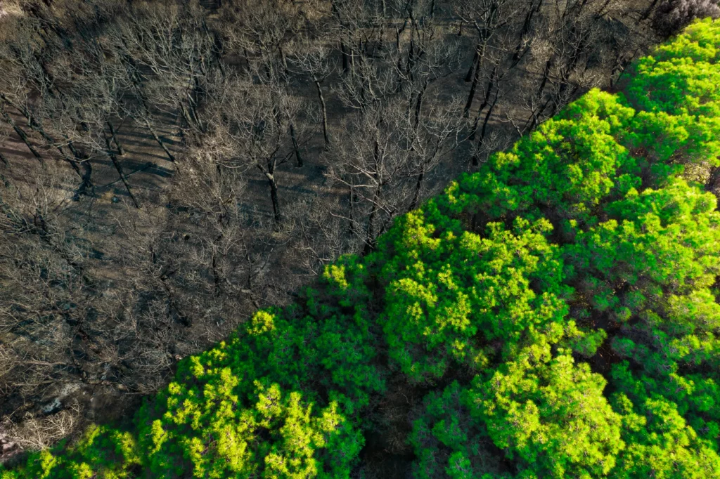 Cambio climático