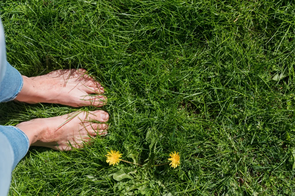 Grounding: pies en el pasto