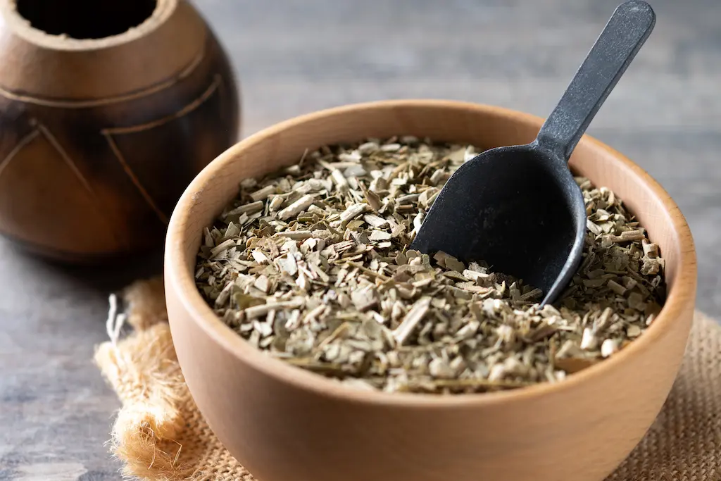 Yerba Mate Argentina Cicatrizar Heridas Ciencia UNQ UNL