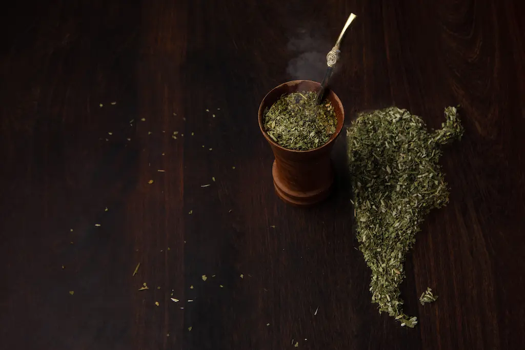 Argentina investigación yerba mate UNQ UNL