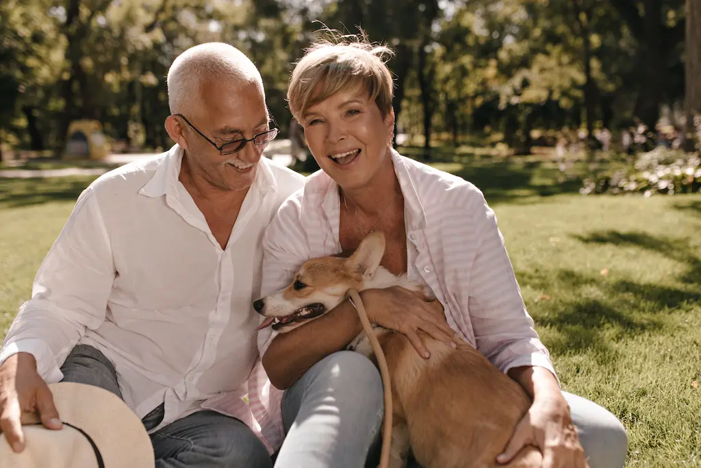 Beneficios adoptar perro siendo adulto