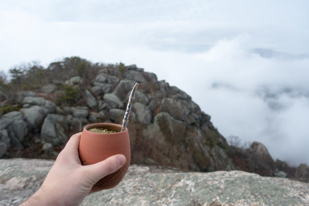 Curar el mate: entre ritual, ciencia y salud